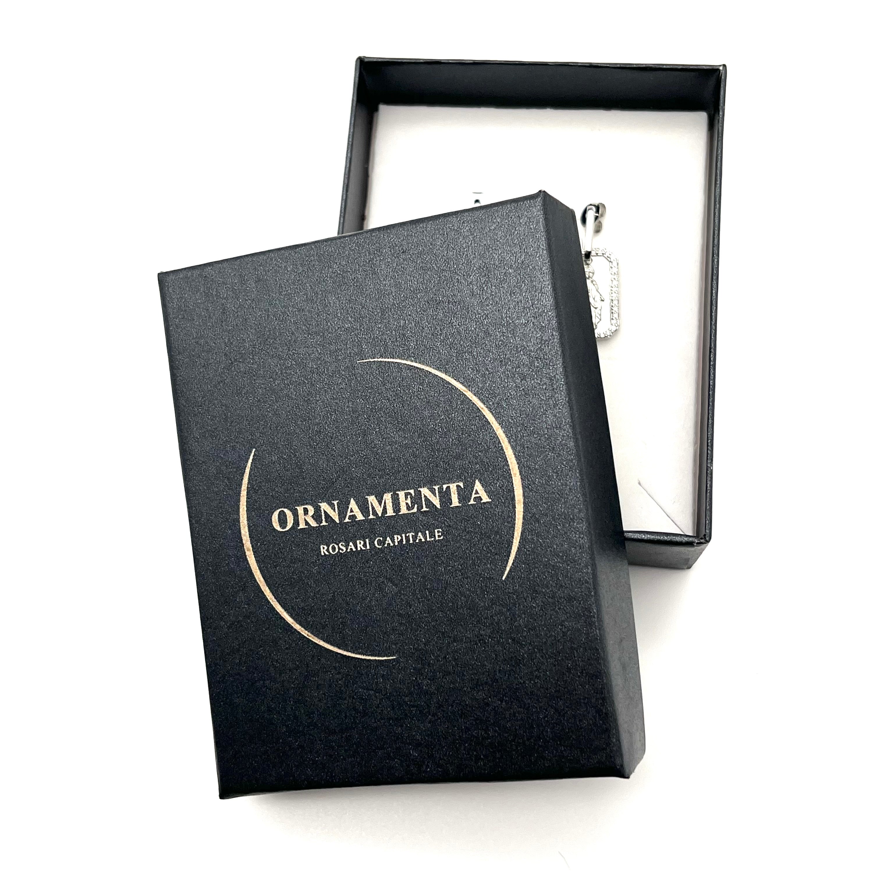 Orecchini Medaglia Miracolosa – Acciaio inox (argento)